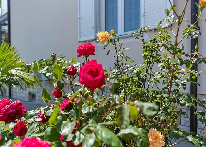 Summer House Apartment