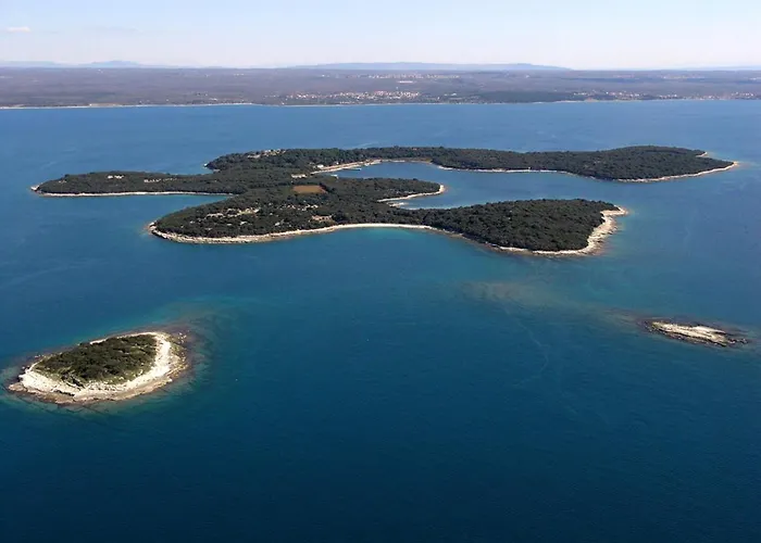 Apartment Summer House *