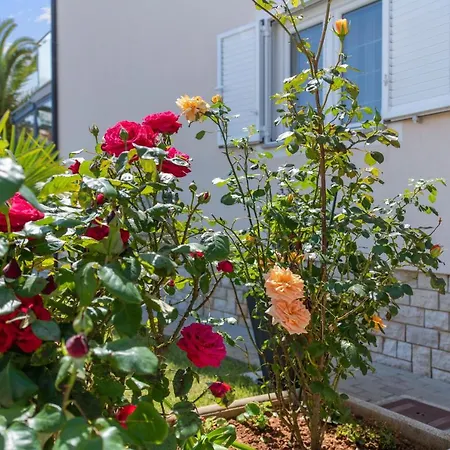 아파트 Summer House