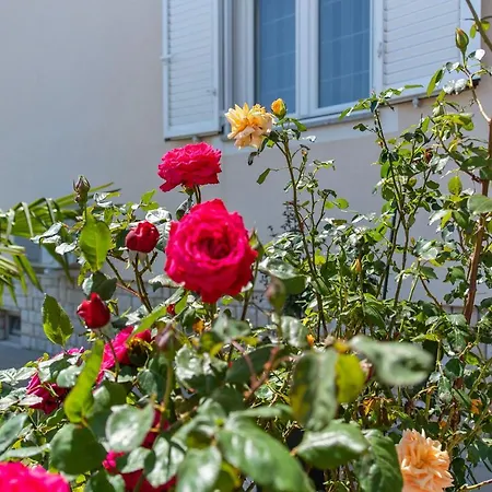 Summer House 아파트