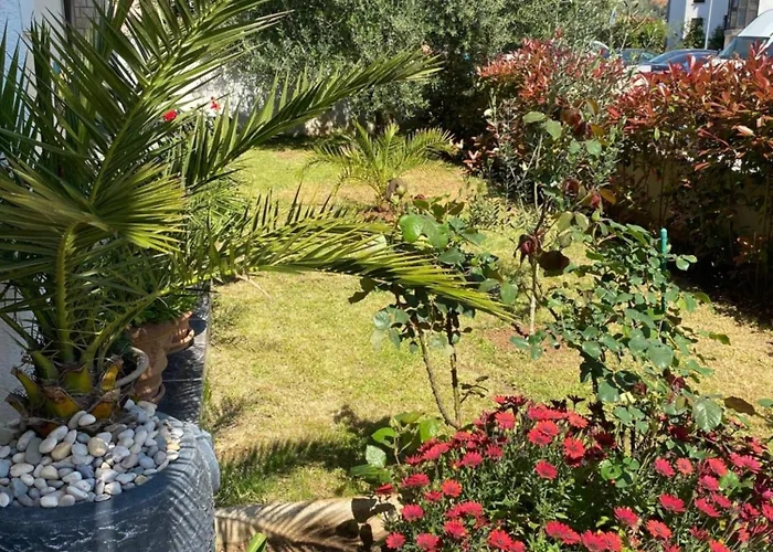 Summer House Apartman Pula